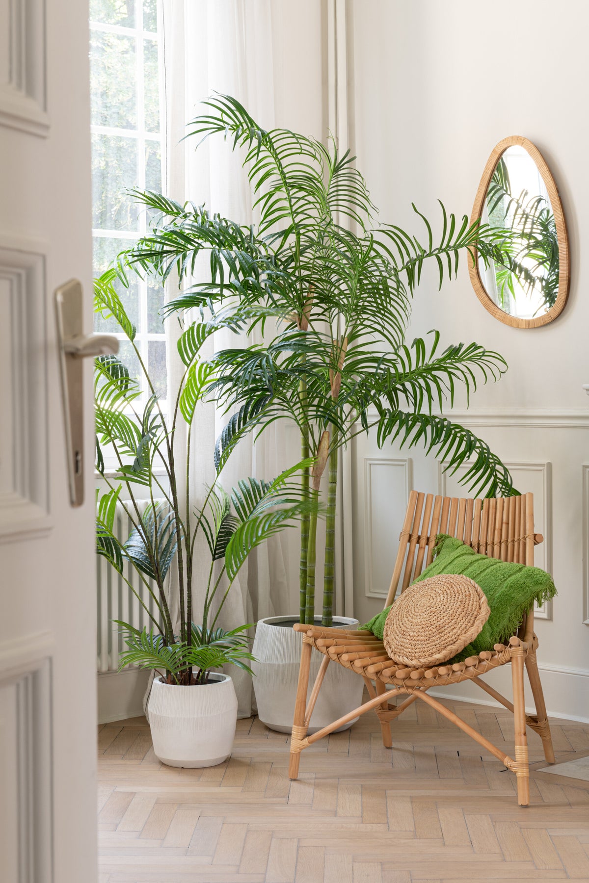 Bamboo Palm in Pot Plastic Green/Black Small J-Line