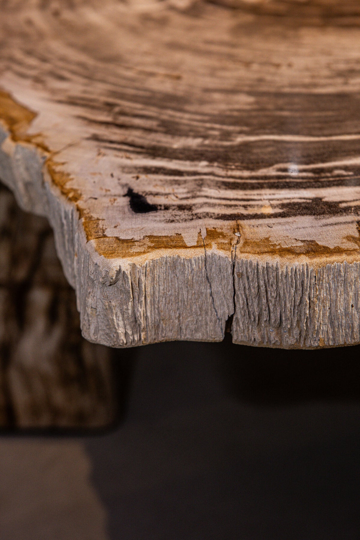Coffee Table Kayo Natural Petrified Wood 3 Legs Low PTMD