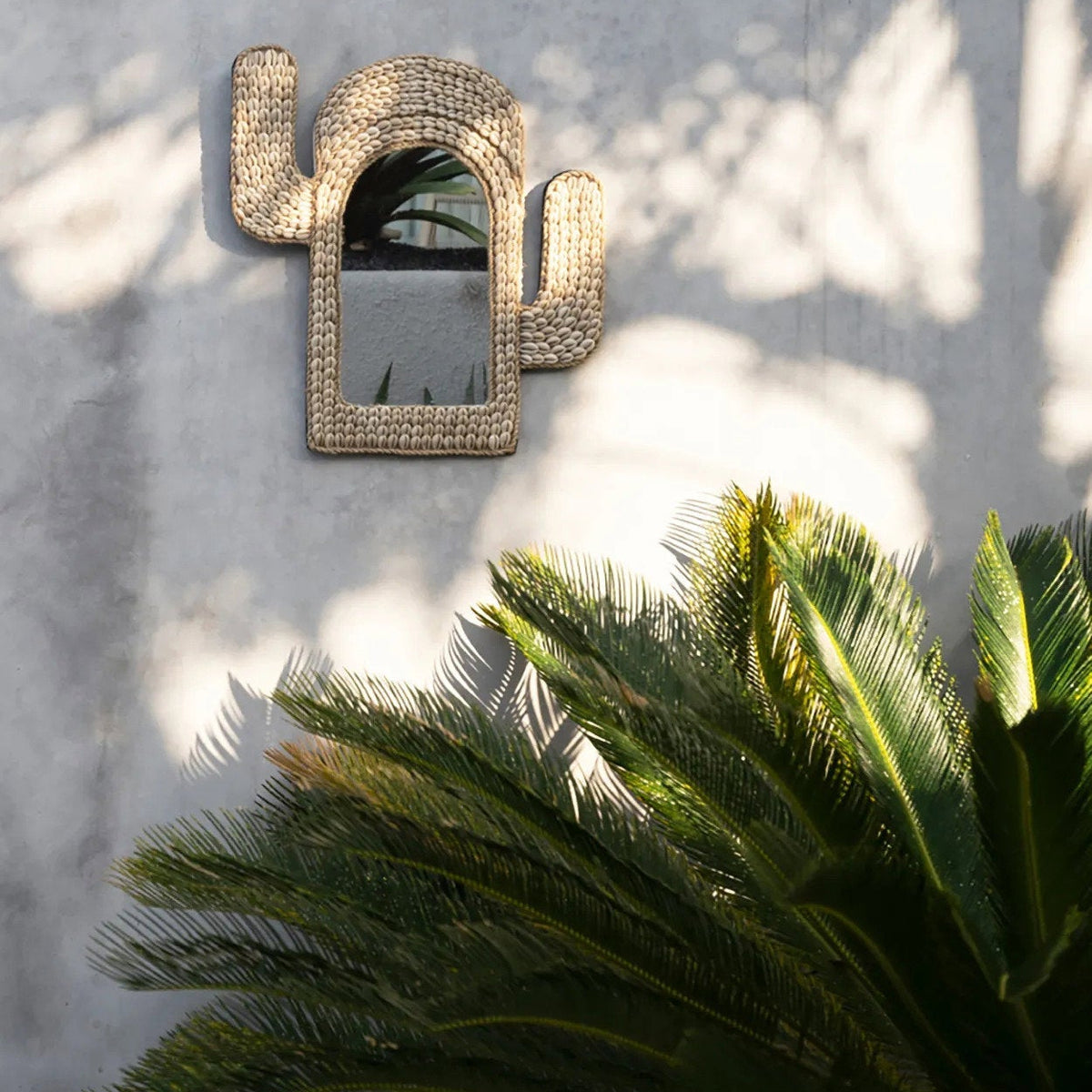The Cactus Shell Mirror - White 40x38cm Bazar Bizar
