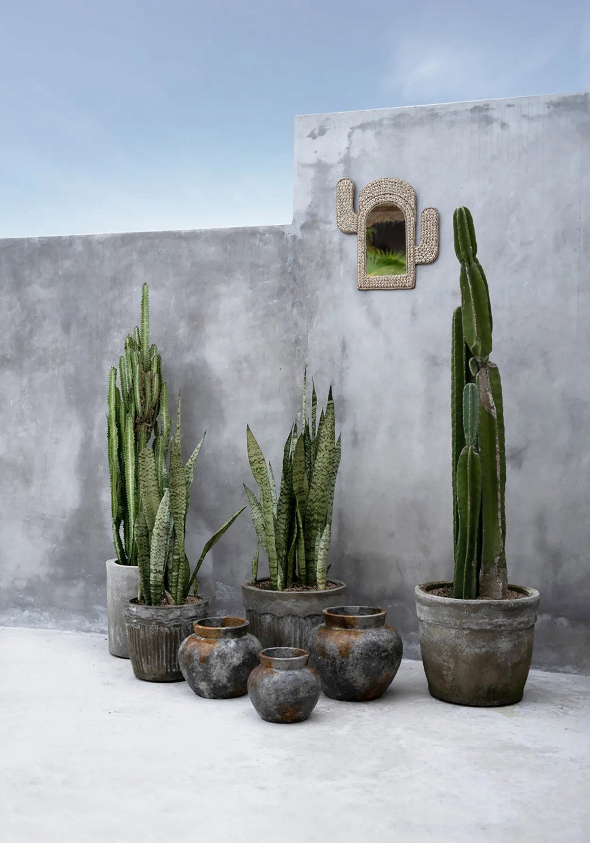 The Cactus Shell Mirror - White 40x38cm Bazar Bizar