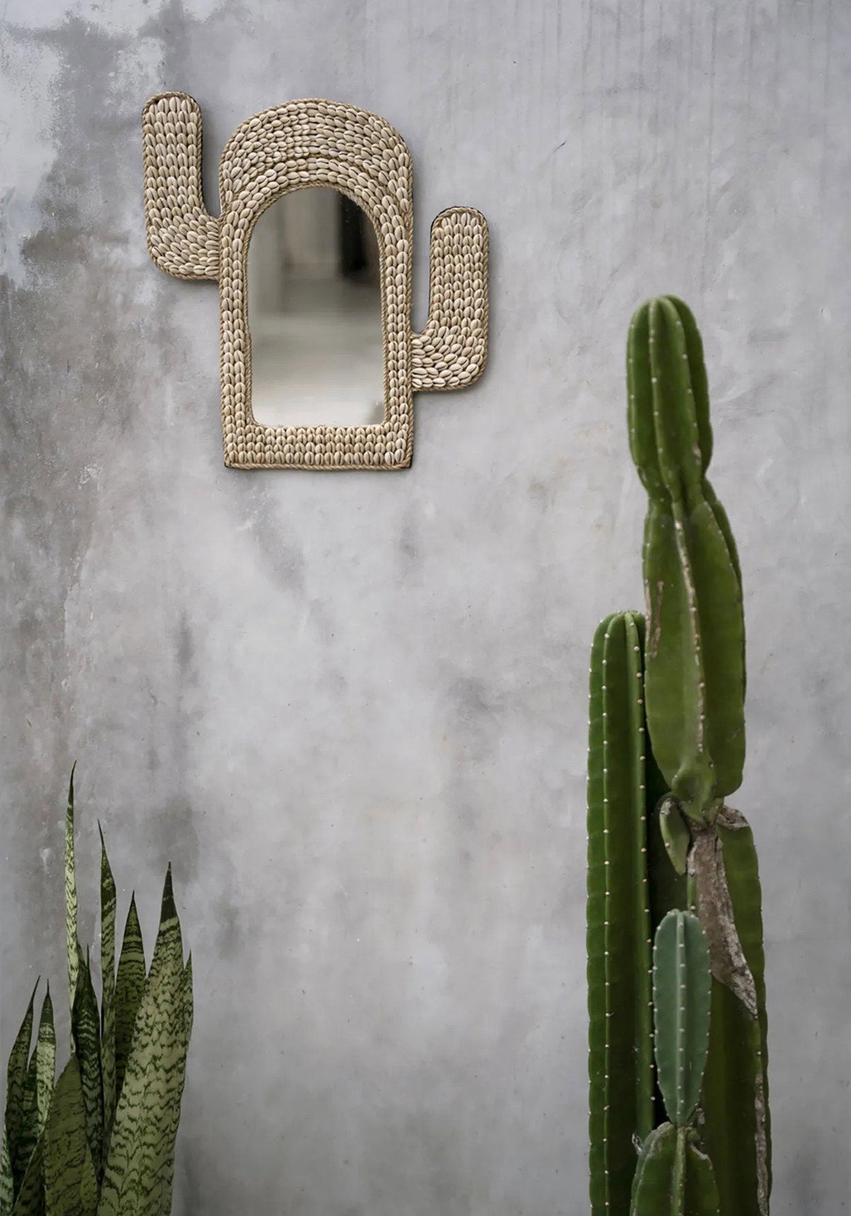 The Cactus Shell Mirror - White 40x38cm Bazar Bizar