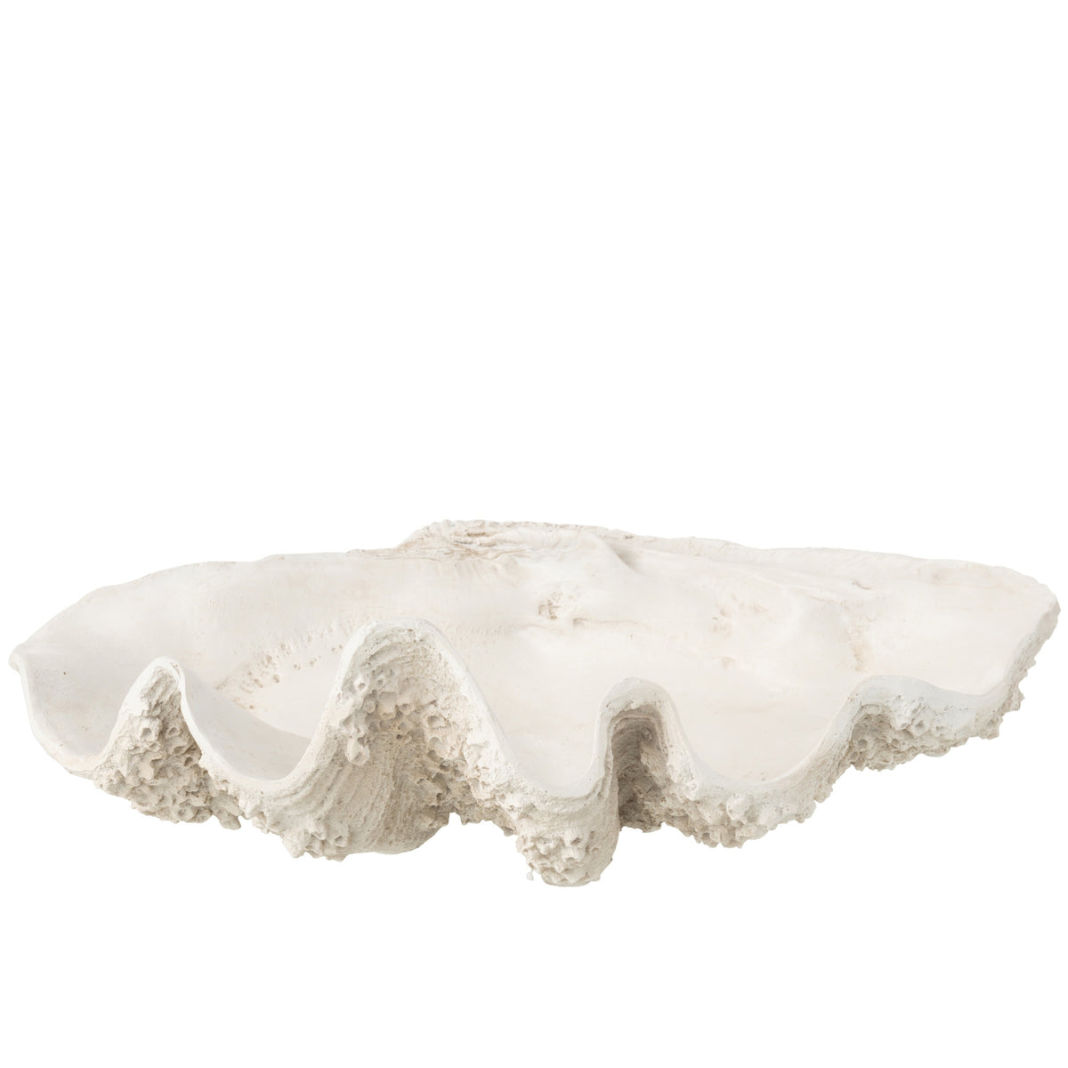 Decorative Tray Seashell Resin Off-White Large J-Line