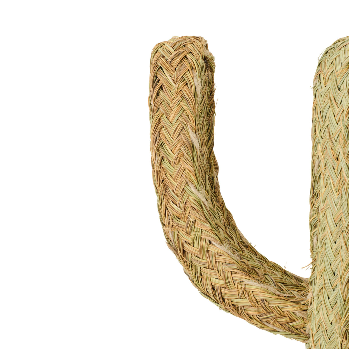 Cactus Grass Natural Large J-Line