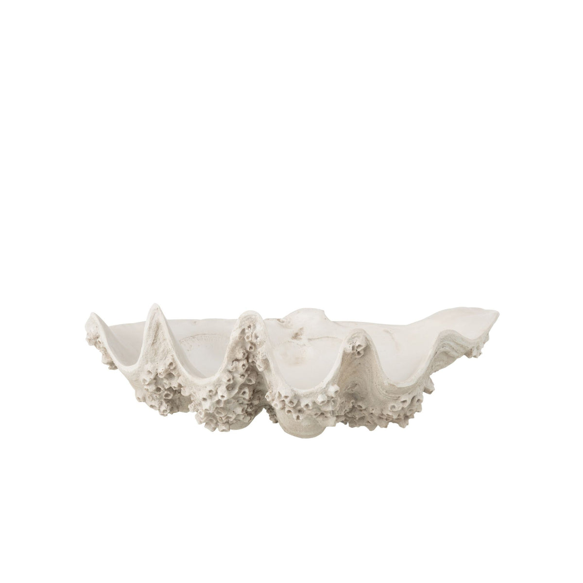 Decorative Tray Seashell Resin Off-White Small J-Line