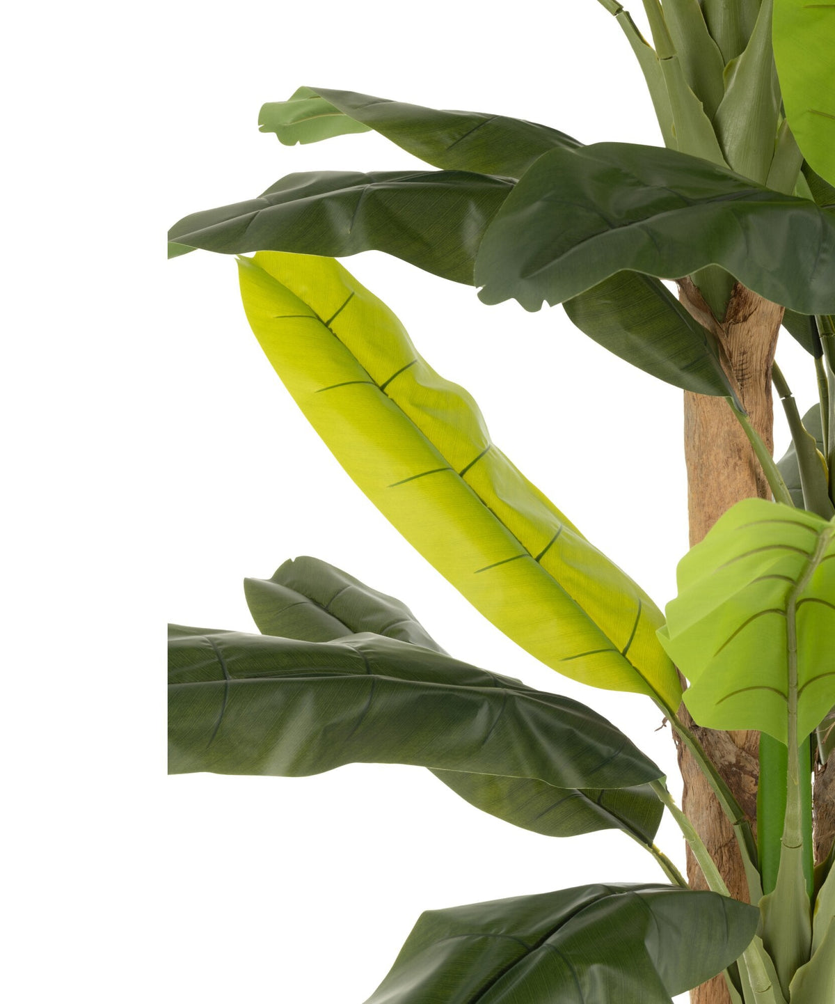 Artificial Potted Banana Tree, Green, H300 cm, J-Line