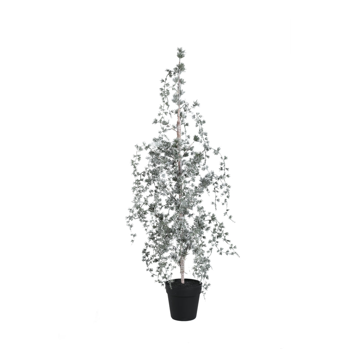 Florine Kerstboom LED Met Sneeuw Medium van PTMD, mosgroene kunstkerstboom met sneeuw en LED lampjes op witte achtergrond