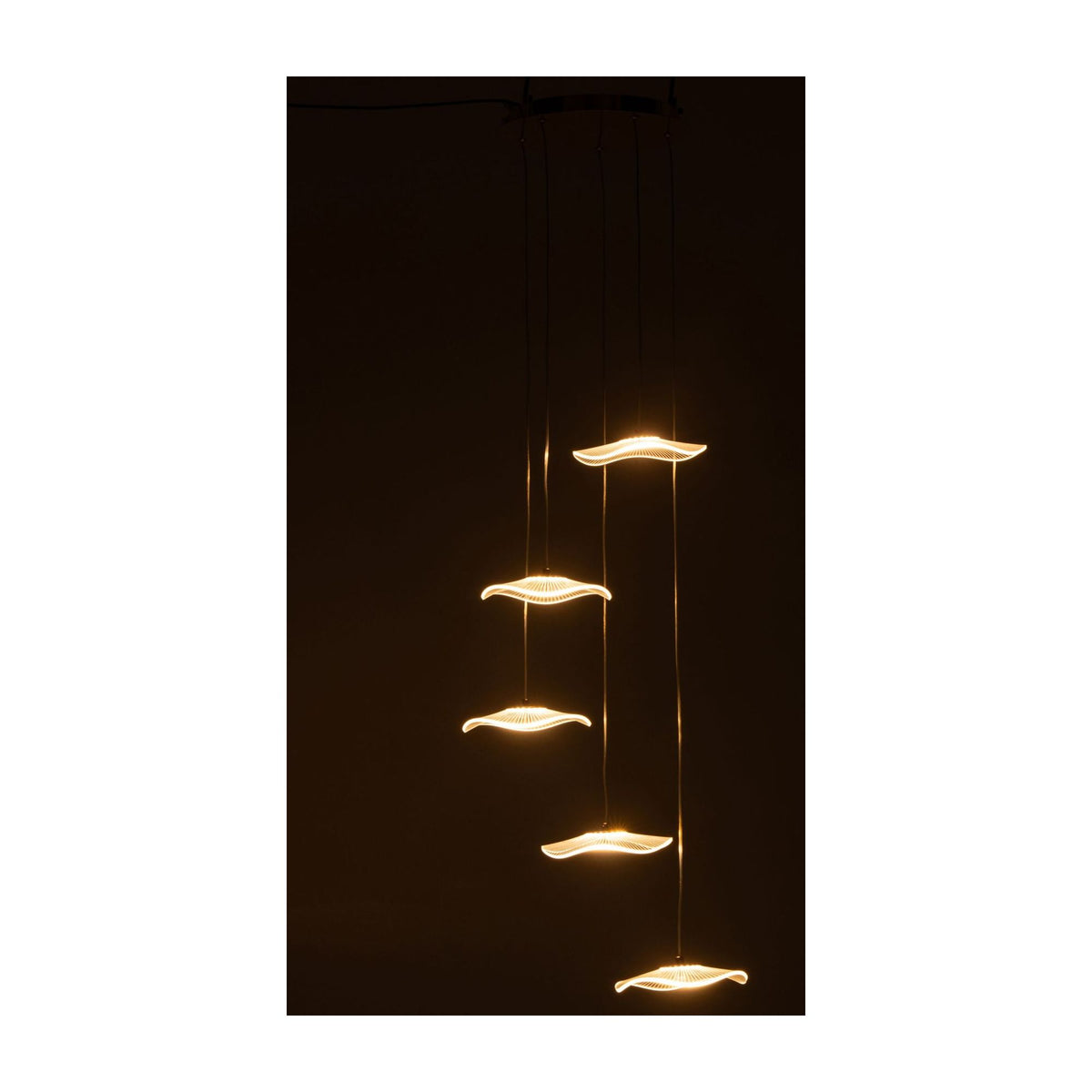Flower Acrylic Gold Pendant Light Large J-Line