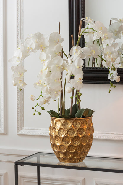 Orchid In Soil Plastic White/Green Extra Large L60cmW53cmH104cm