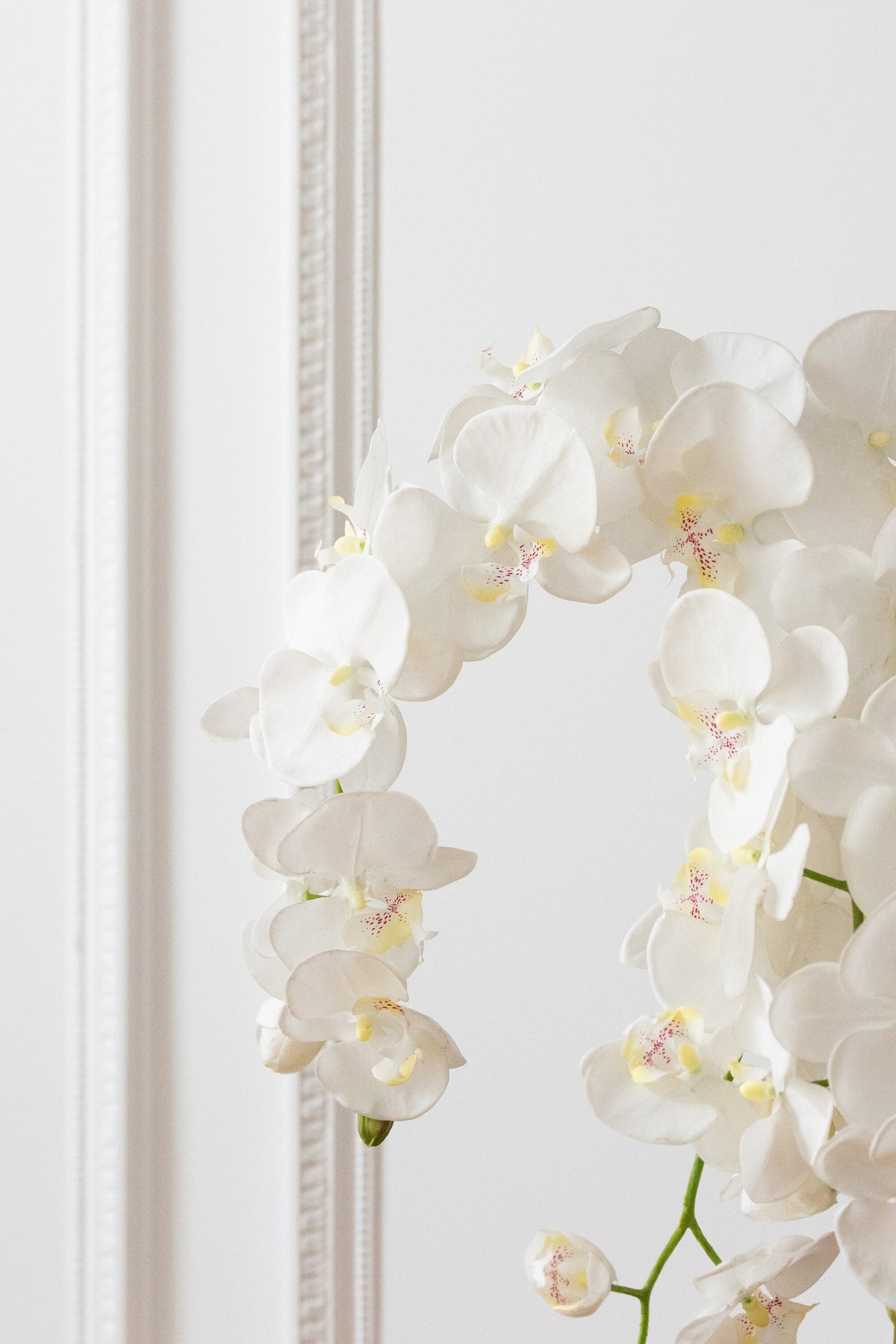 Orchid In Soil Plastic White/Green Extra Large L60cmW53cmH104cm