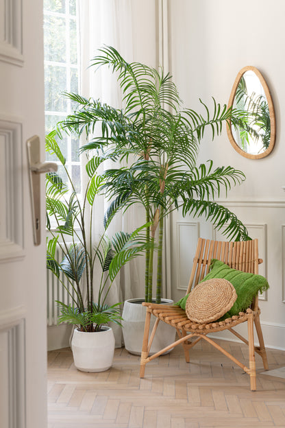Bamboo Palm in Pot Plastic Green/Black Small J-Line