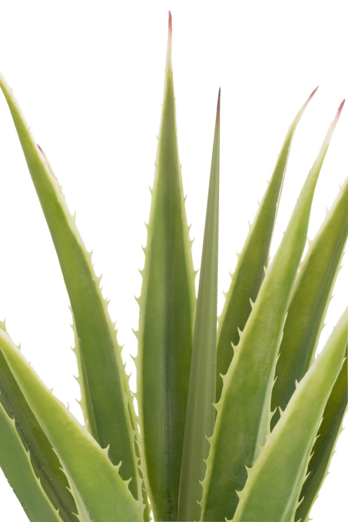 Agave Broken White Artificial Green 80x80x150cm