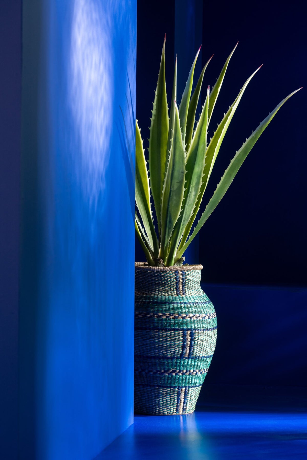 Agave Broken White Artificial Green 80x80x150cm
