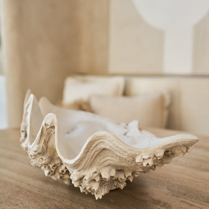 Decorative Tray Seashell Resin Off-White Large J-Line