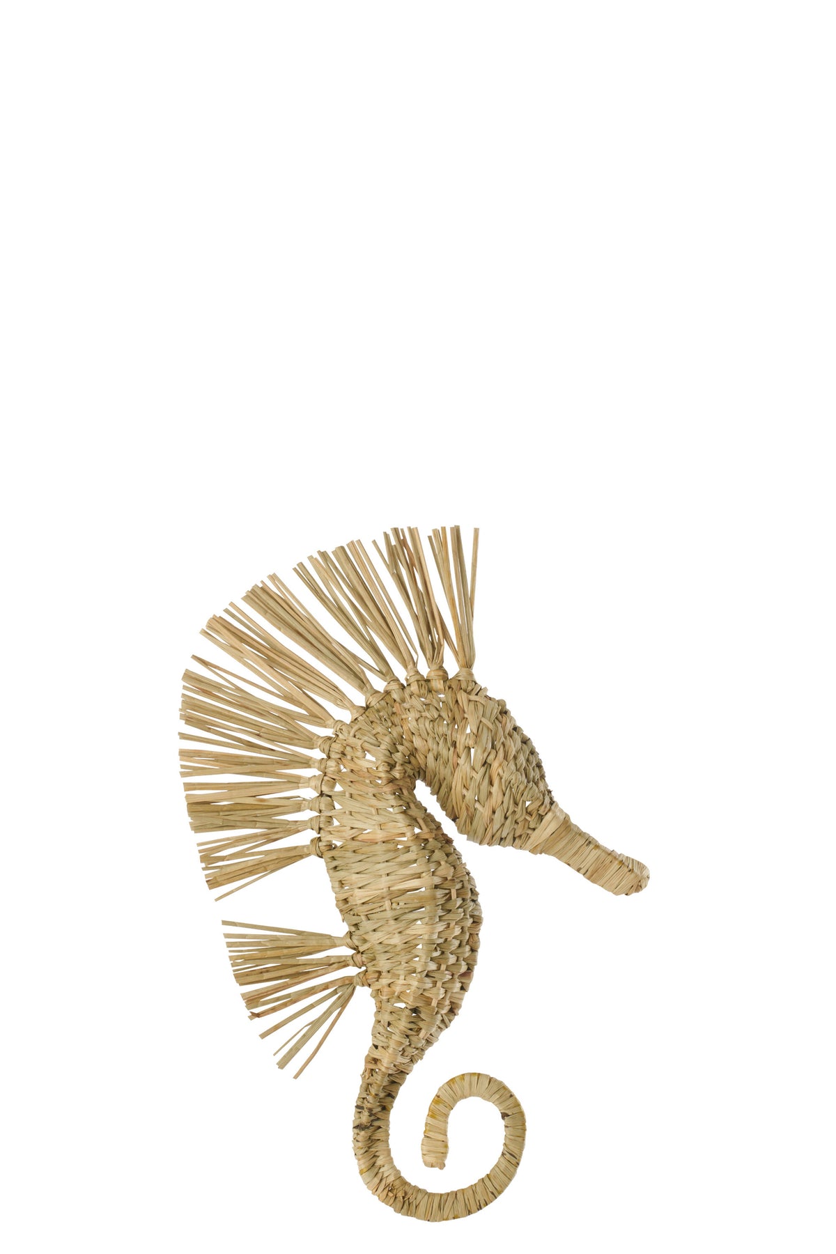 Wall Object Seahorse Grass Natural Small J-Line
