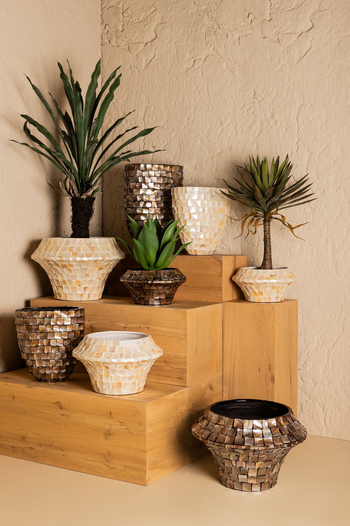 Daven Bronze Poly Shell Bamboo Pot Round Large PTMD