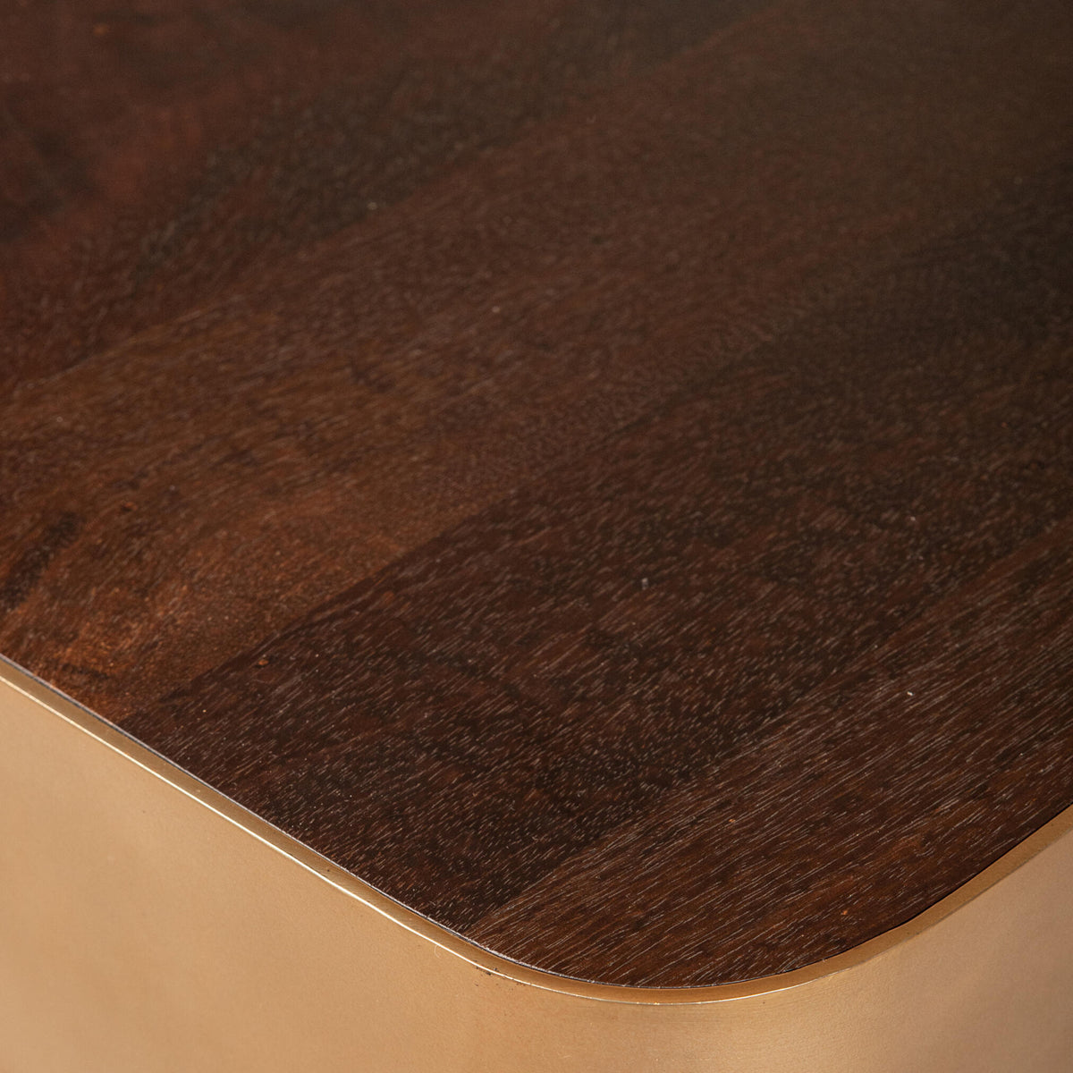 Warren Coffee Table Brown Wood with Gold Metal PTMD
