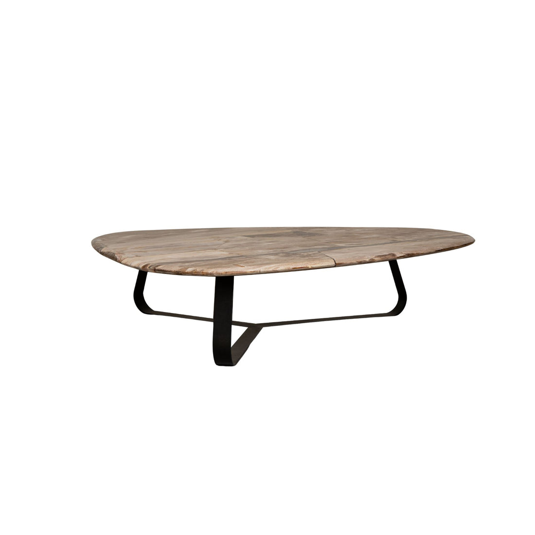 Coffee table Deeba petrified wood 130 PTMD