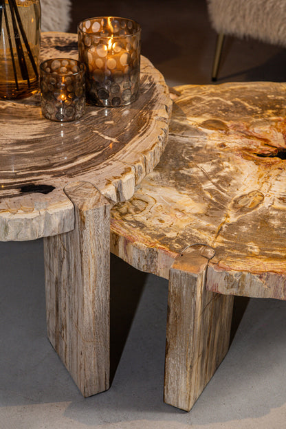 Coffee Table Kayo Natural Petrified Wood 3 Legs Low PTMD