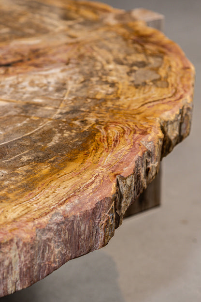 Coffee Table Kayo Natural Petrified Wood 3 Legs Low PTMD