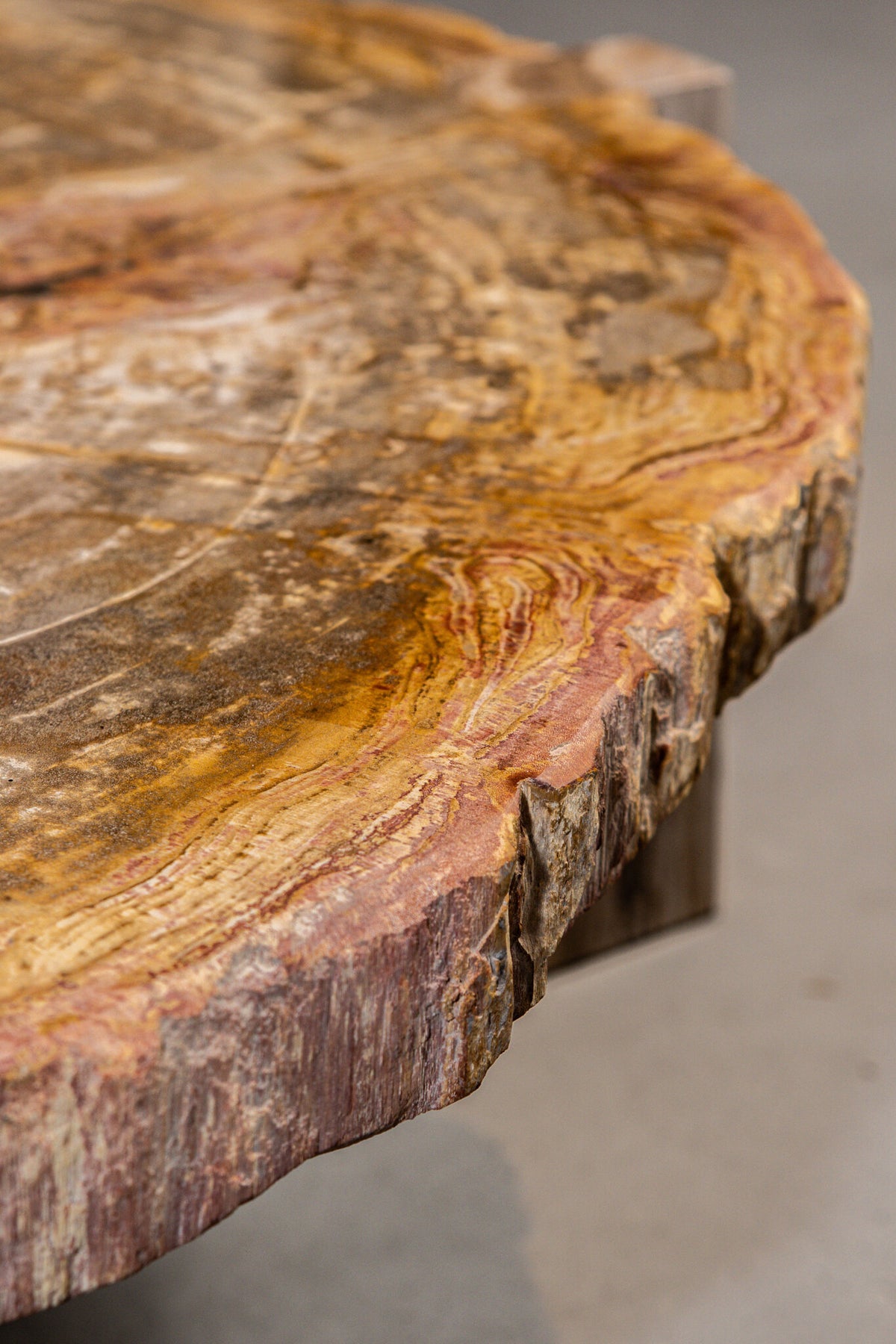 Coffee Table Kayo Natural Petrified Wood 3 Legs Low PTMD