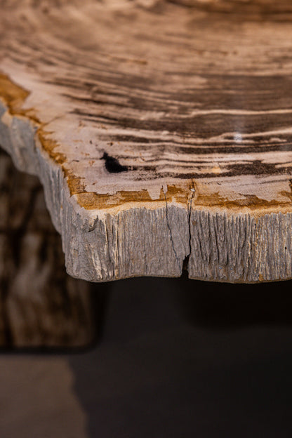 Coffee Table Kayo Natural Petrified Wood 3 Legs Low PTMD