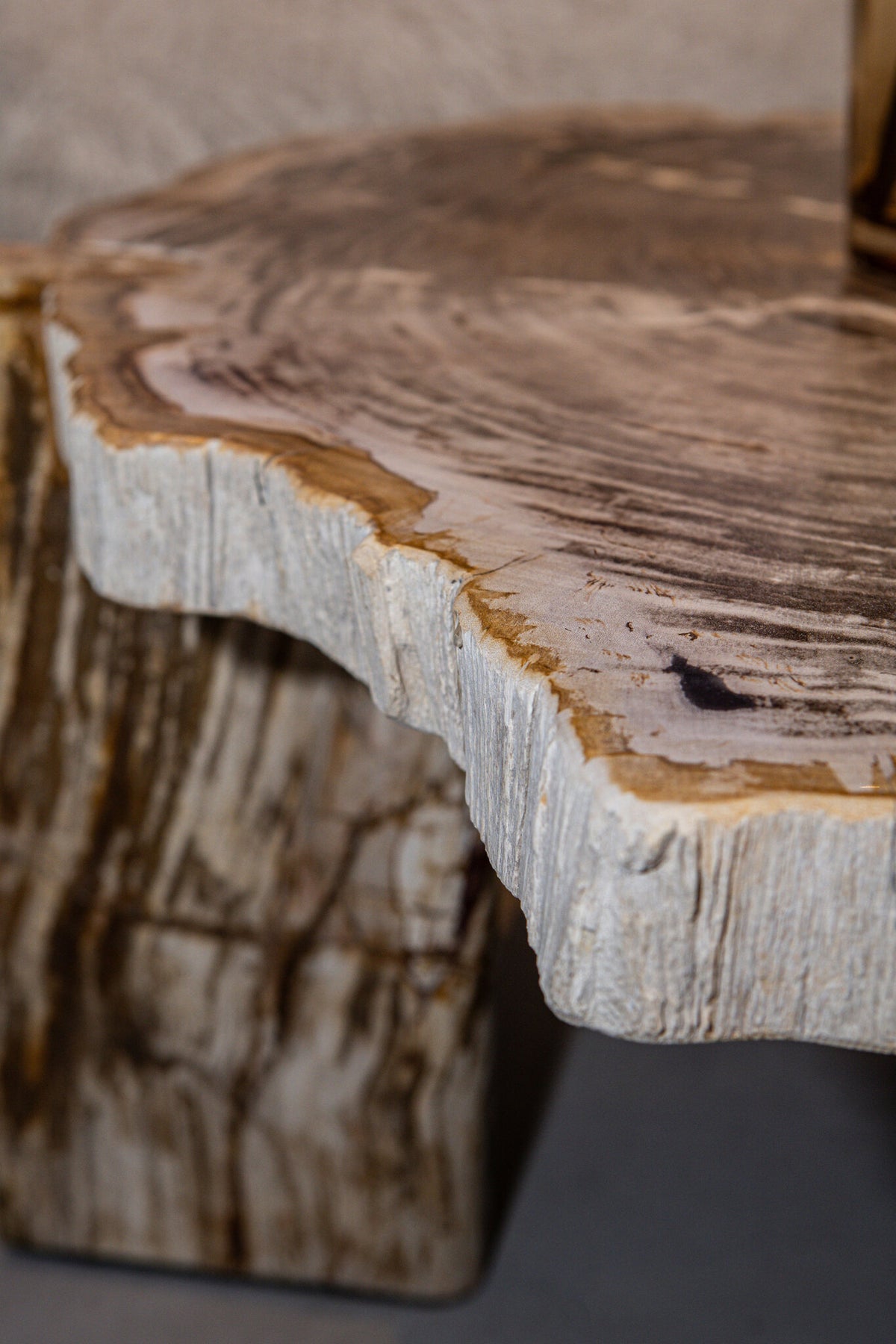 Coffee Table Kayo Natural Petrified Wood 3 Legs Low PTMD
