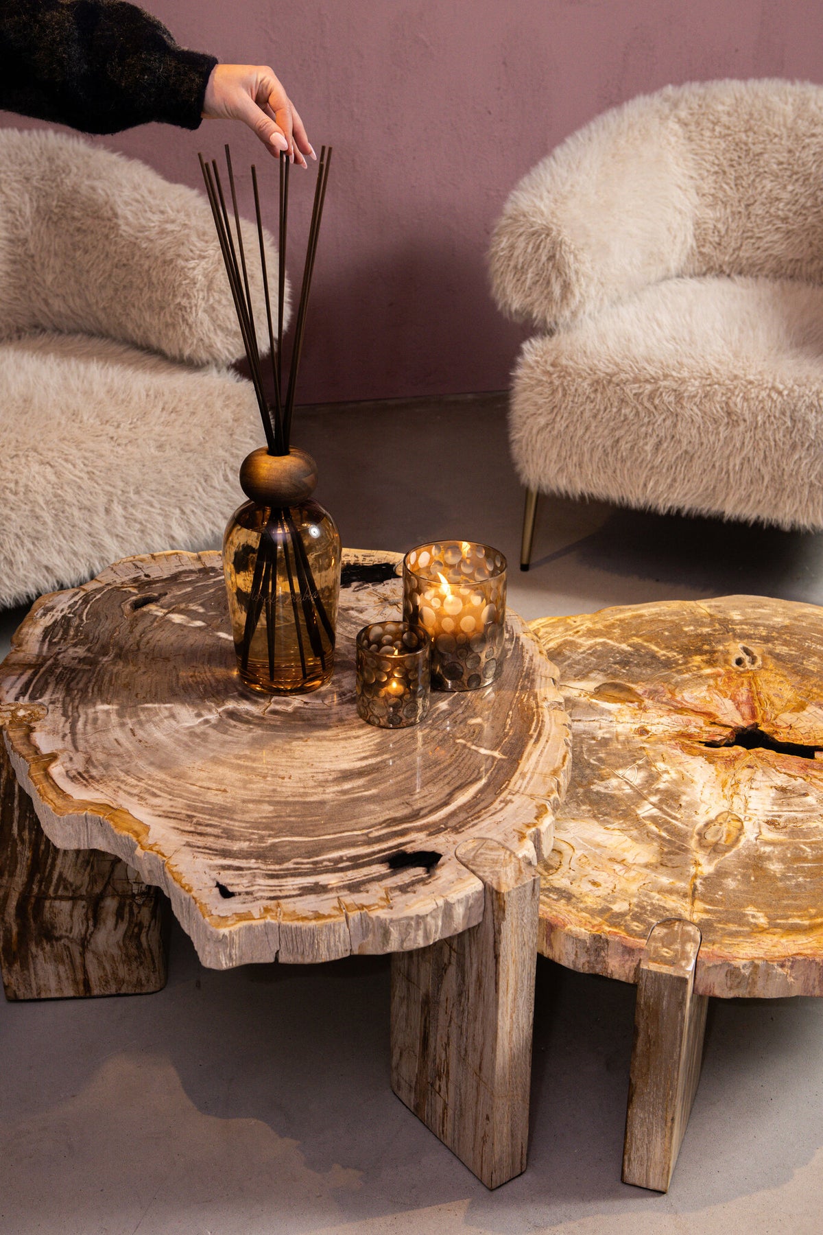 Coffee Table Kayo Natural Petrified Wood 3 Legs Low PTMD