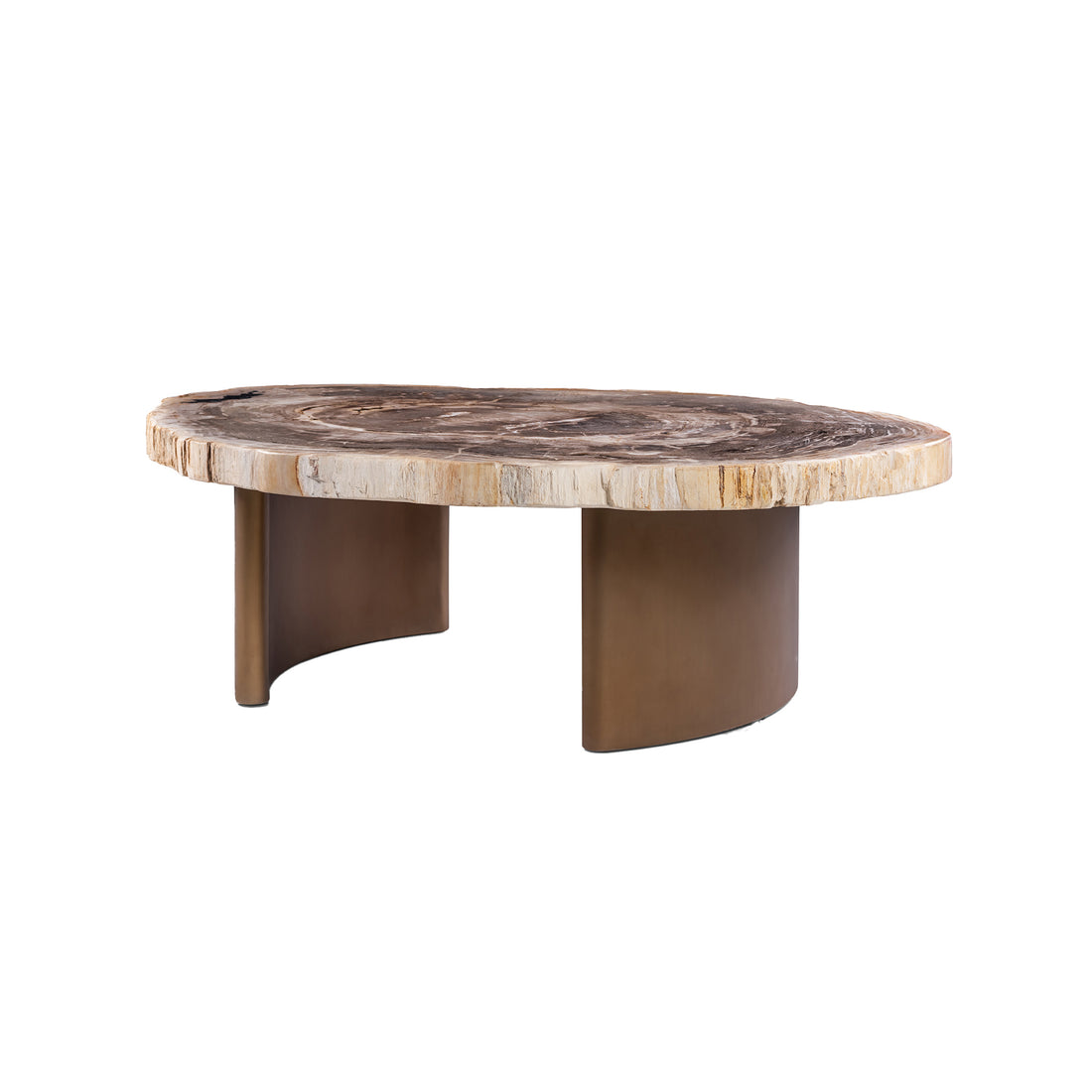 Yoel Natural Petrified Wood Coffee Table Brass Base PTMD