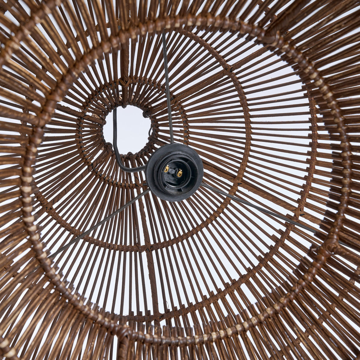 The Desert Gourd Pendant Light Dark Walnut Medium Bazar Bizarre