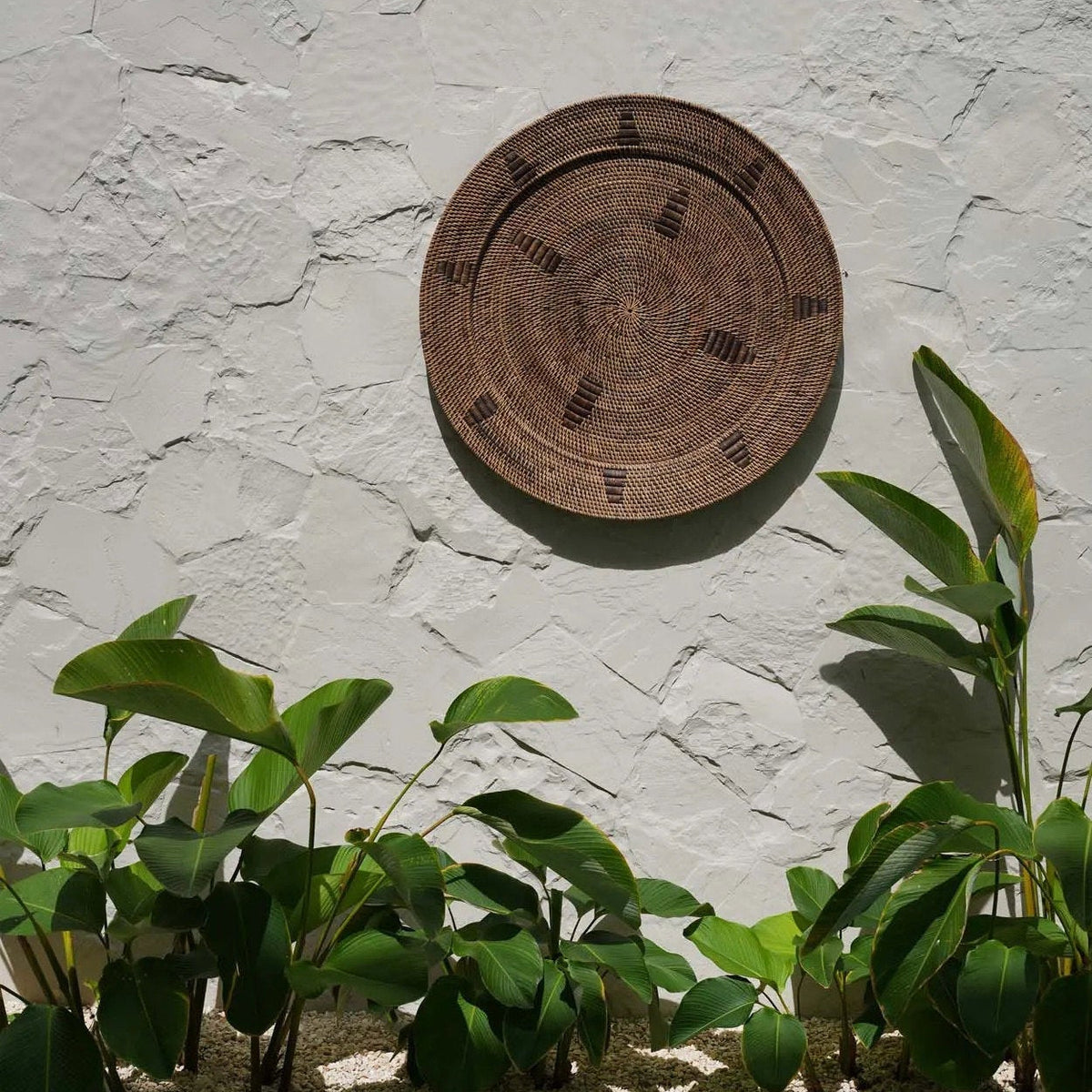 The Jasmine Board - Brown - L Bazar Bizar