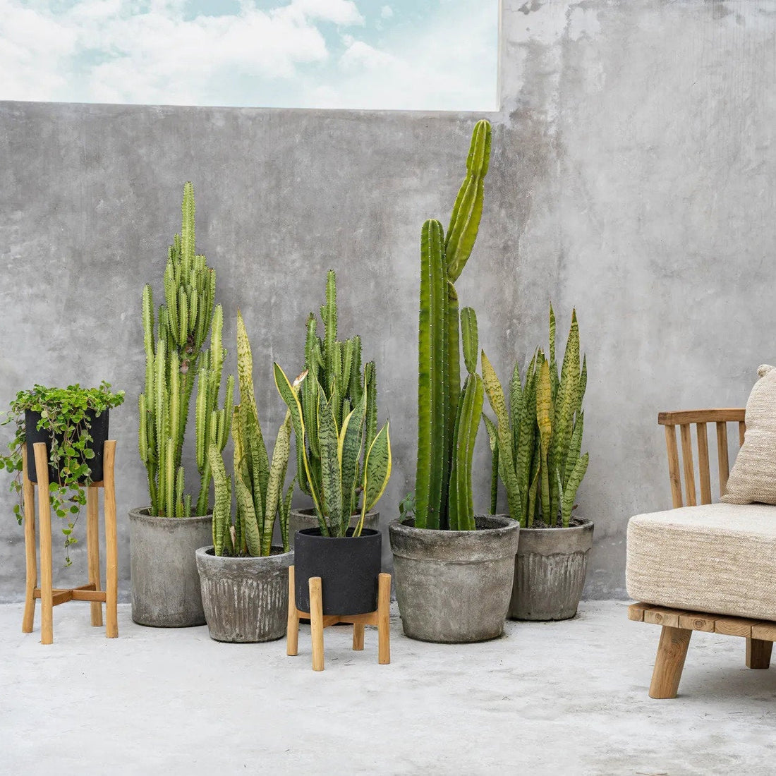 The Charcoal Tall Planter Black Small Bazar Bizarre