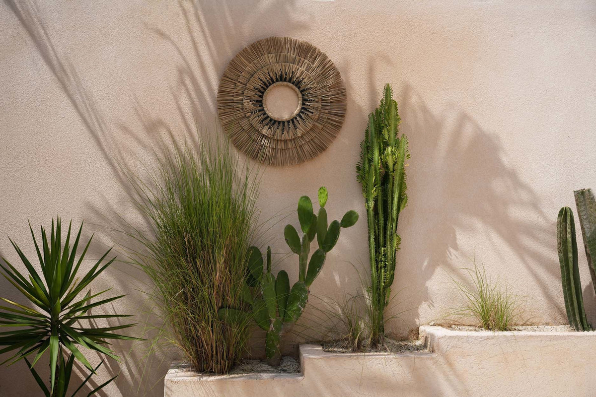 The Mengdong Wall Decor - Natural Black Bazar Bizarre