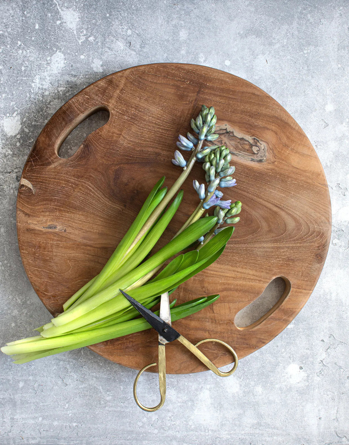 The Teak Root Serving Board - L