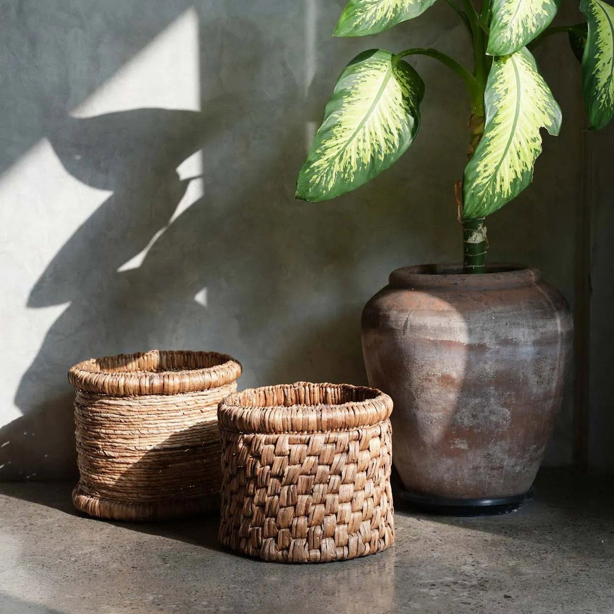 The Choppy Basket