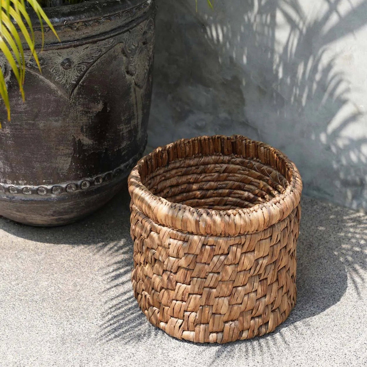 The Choppy Basket