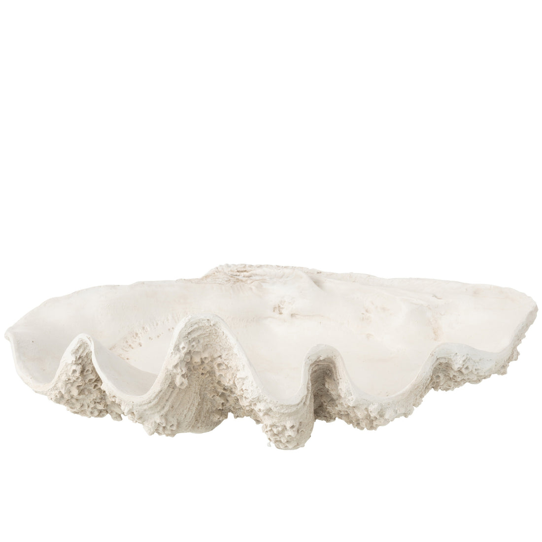 Decorative Tray Seashell Resin Off-White Large J-Line