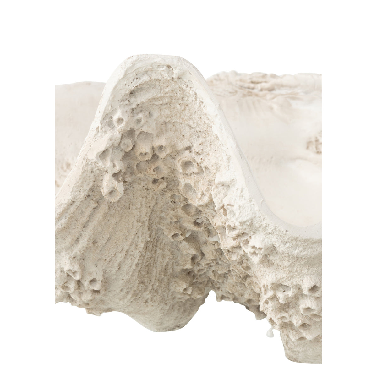 Decorative Tray Seashell Resin Off-White Large J-Line