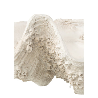 Decorative Tray Seashell Resin Off-White Large J-Line