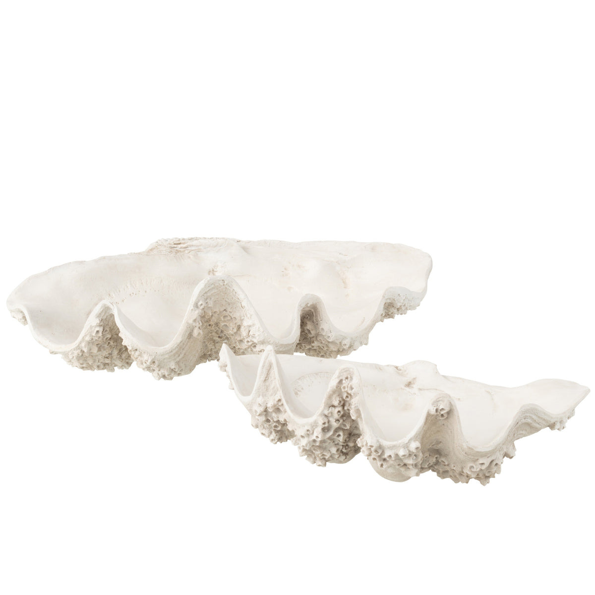 Decorative Tray Seashell Resin Off-White Large J-Line