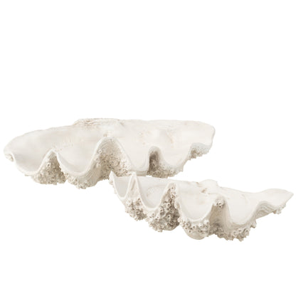 Decorative Tray Seashell Resin Off-White Large J-Line