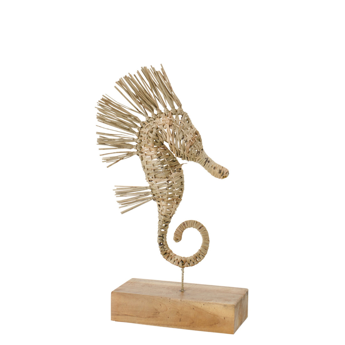 Seahorse On Foot Grass Natural Small J-Line