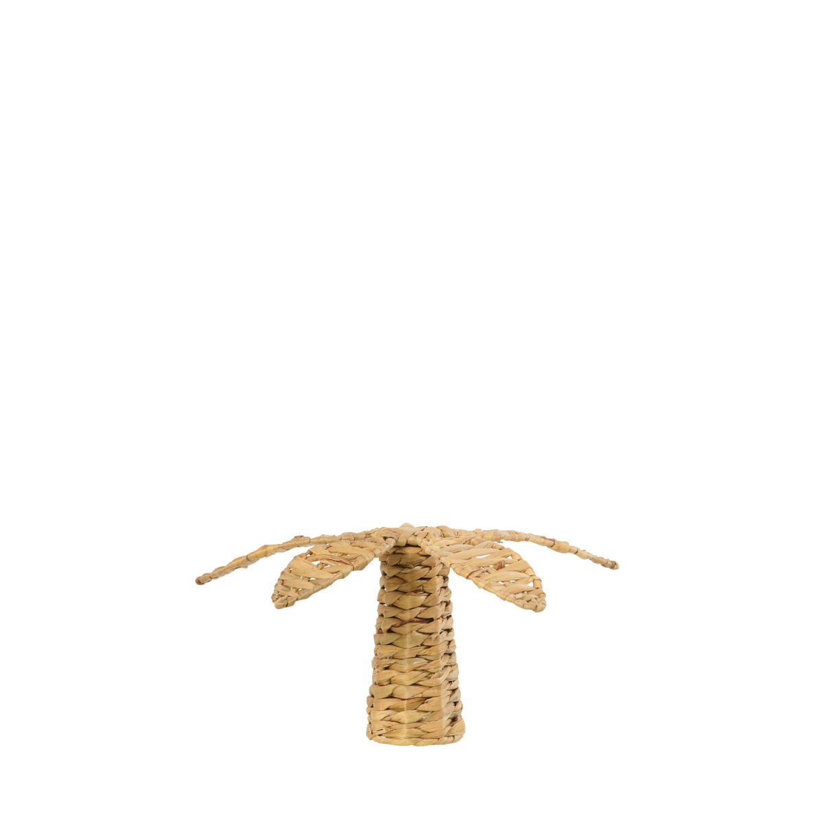Palm Tree Water Hyacinth Natural Small J-Line