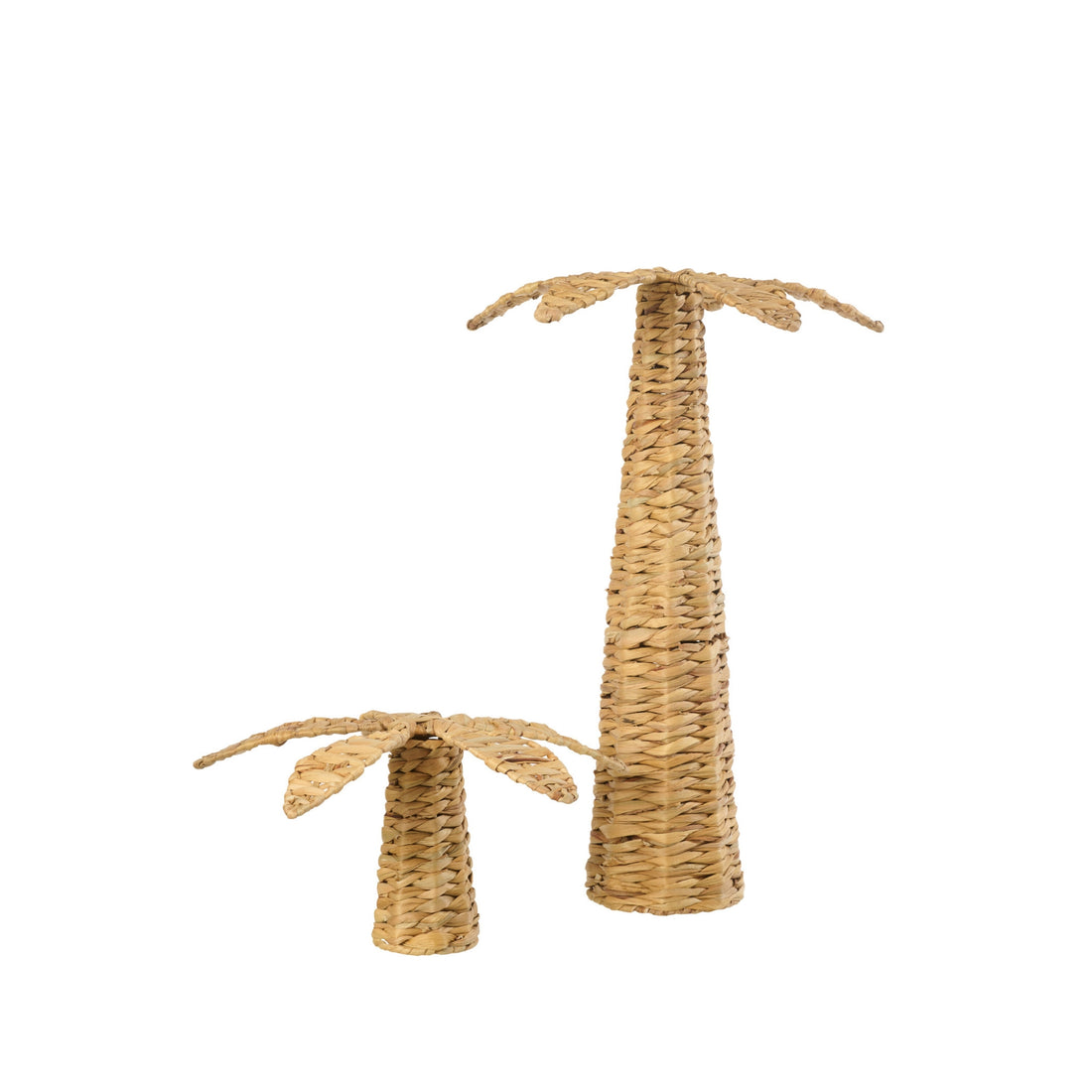 Palm Tree Water Hyacinth Natural Large J-Line