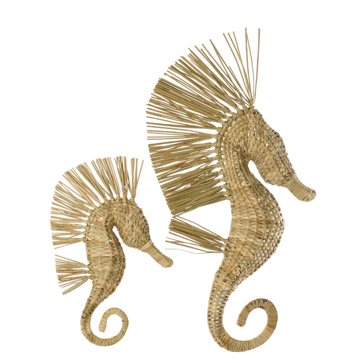 Seahorse Grass Wall Object Natural Large J-Line