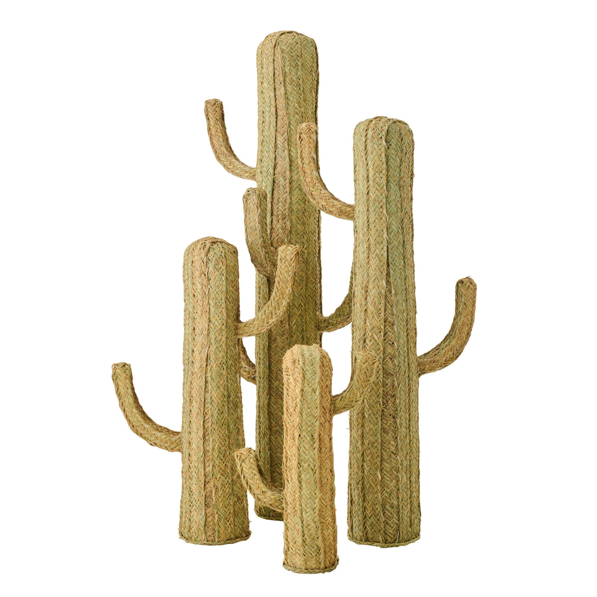 Cactus Grass Natural Extra Large J-Line