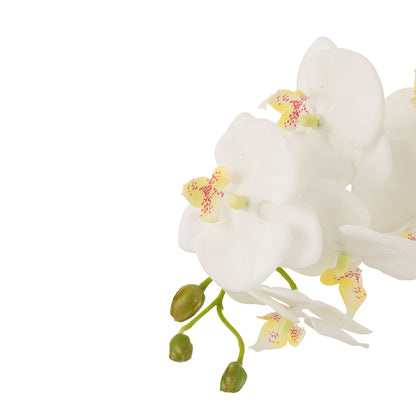Orchid In Soil Plastic White/Green Large 32x32x75cm