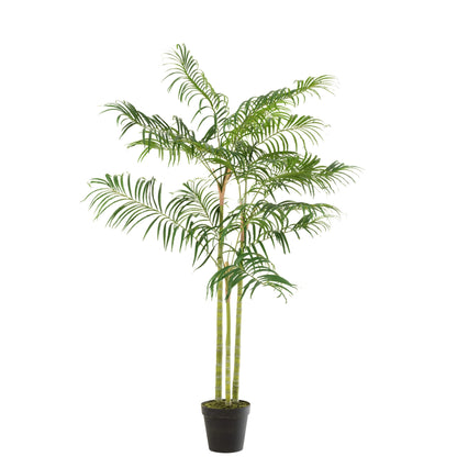 Bamboo Palm in Pot Plastic Green/Black Small J-Line