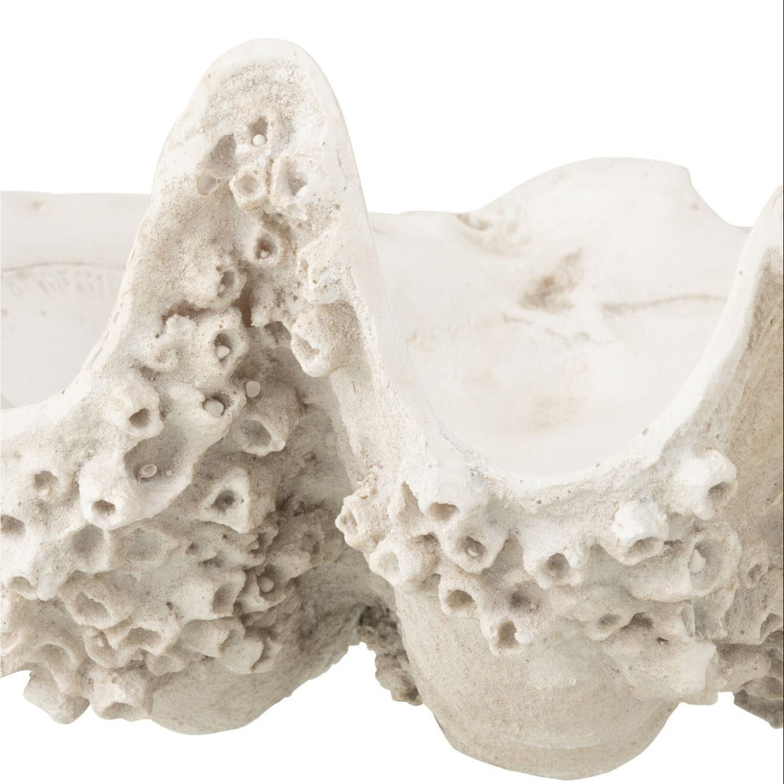 Decorative Tray Seashell Resin Off-White Small J-Line