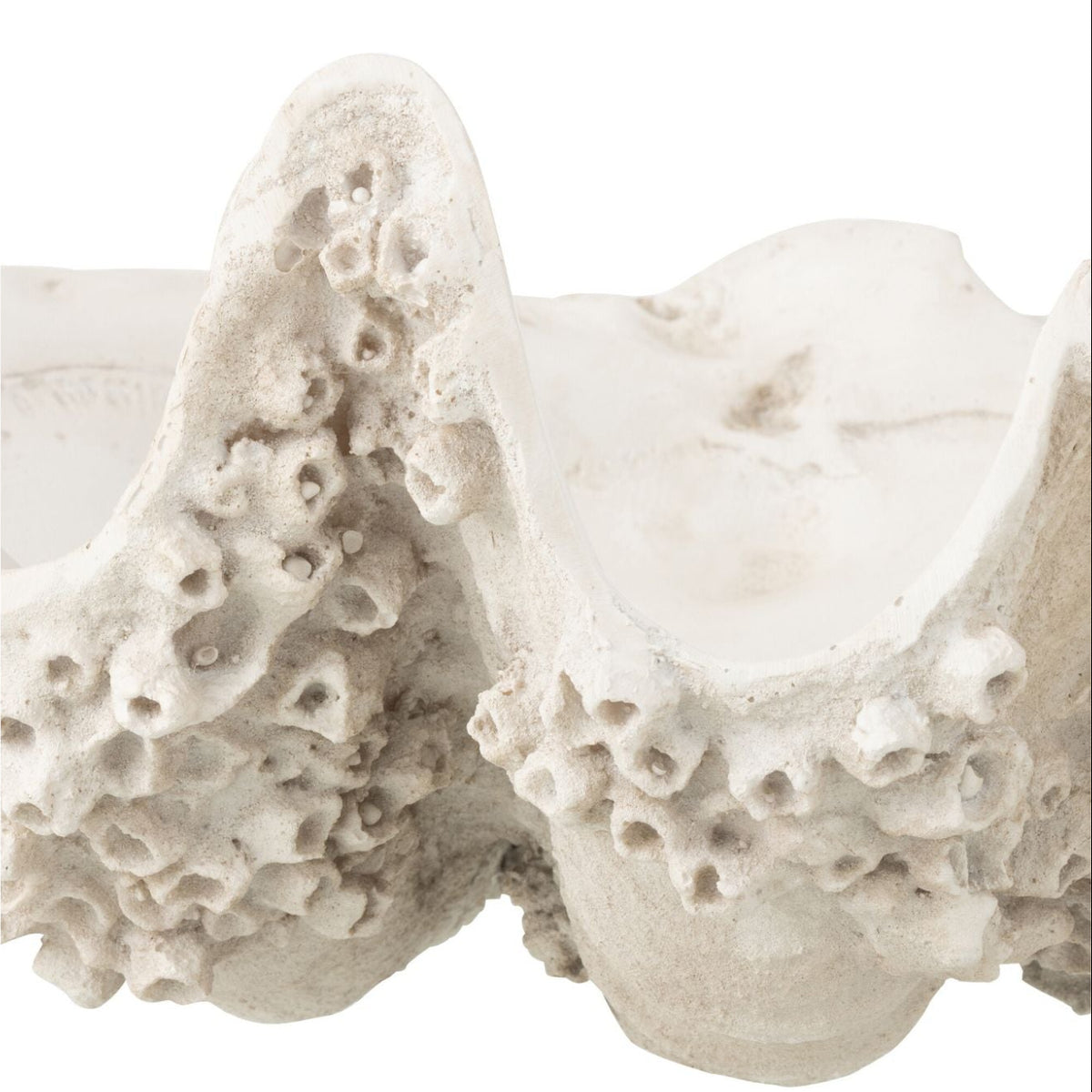 Decorative Tray Seashell Resin Off-White Small J-Line
