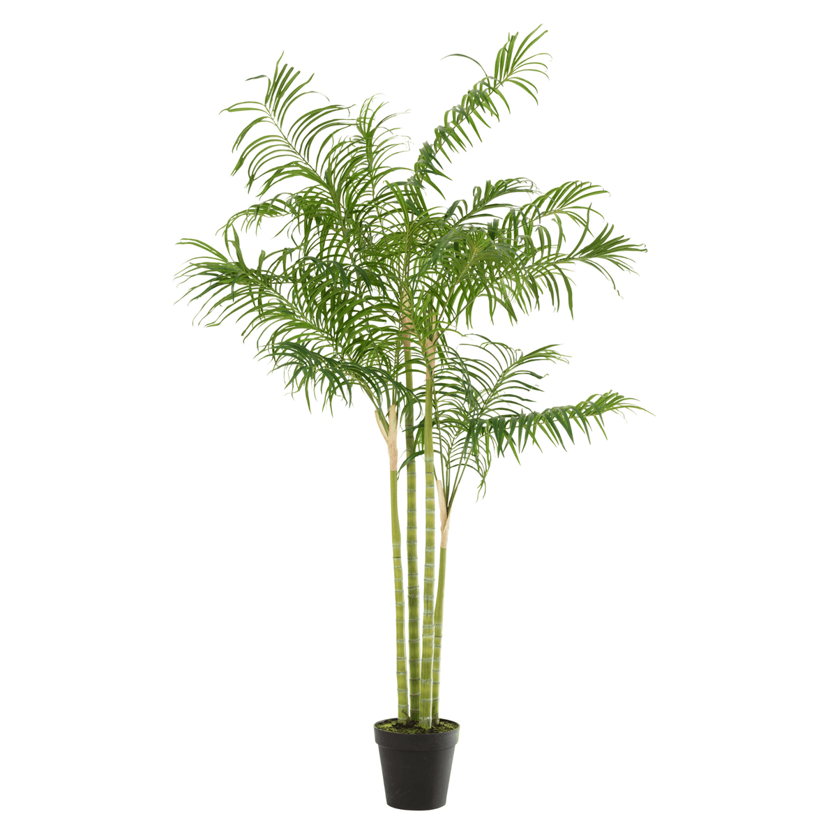 Bamboo Palm In Pot Plastic Green/Black Large 120x120x175cm - Kunstplant - J-Line - livinglovely.nl